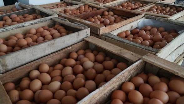 Kampung Eggs