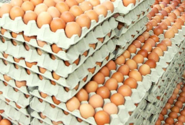 Salted Eggs